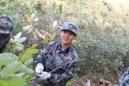 15歲男孩討厭去上學作為家長該怎么引導
